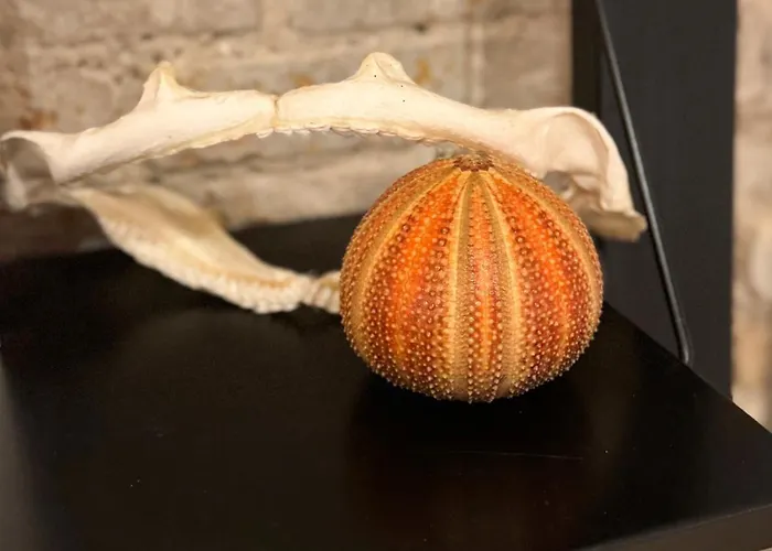 Apartman Factory Lofts Art Design Kreuzberg Mitte