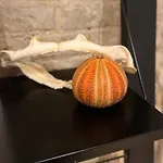 アパート Factory Lofts Art Design Kreuzberg Mitte