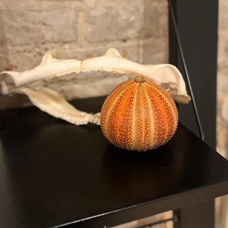 Appartamento Factory Lofts Art Design Kreuzberg Mitte